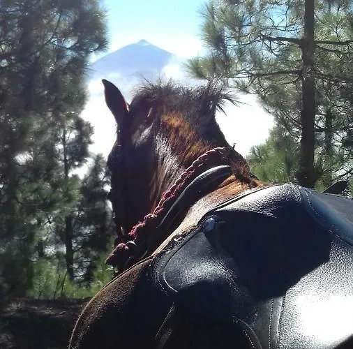 Летний дом Finca Rural El Pajar Santa Ursula Санта-Урсула